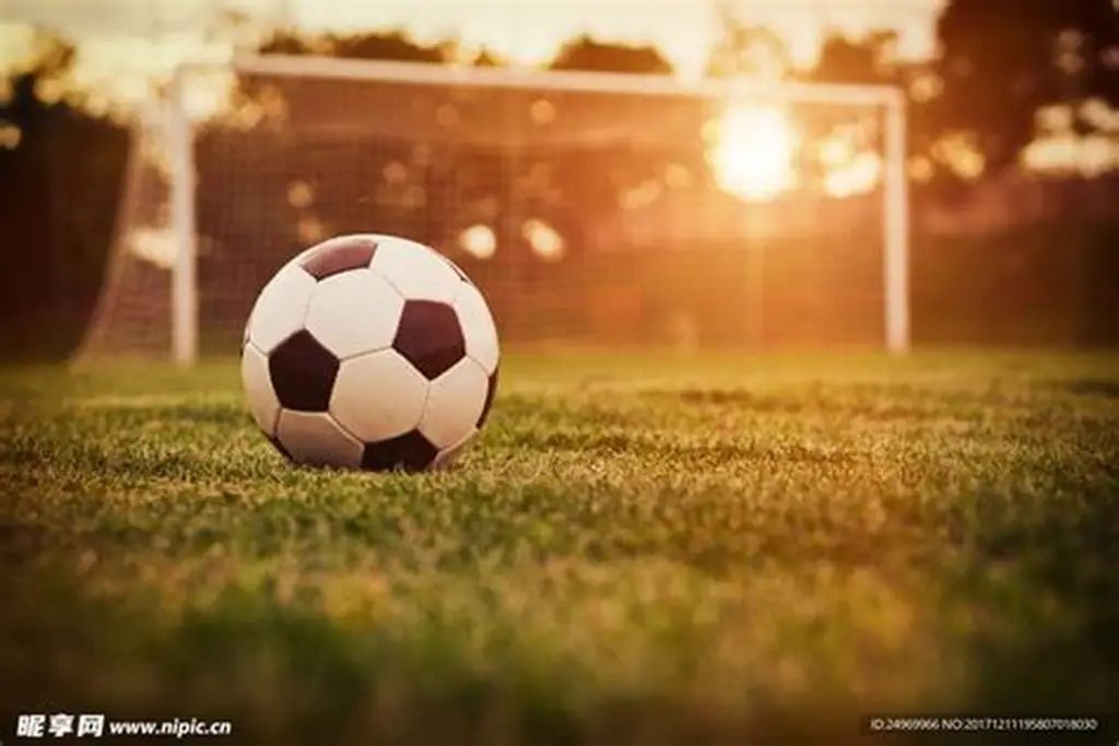 星空体育官网-APP下载| XINGKONG SPORTS