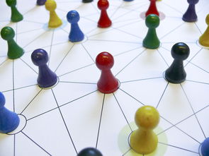 星空体育平台官网-中国篮球教练员战术执行力提升路径分析，中国篮球教练员等级划分标准