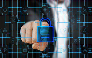 星空app官网下载-校园体育安全管理策略研究，校园体育安全管理策略研究报告